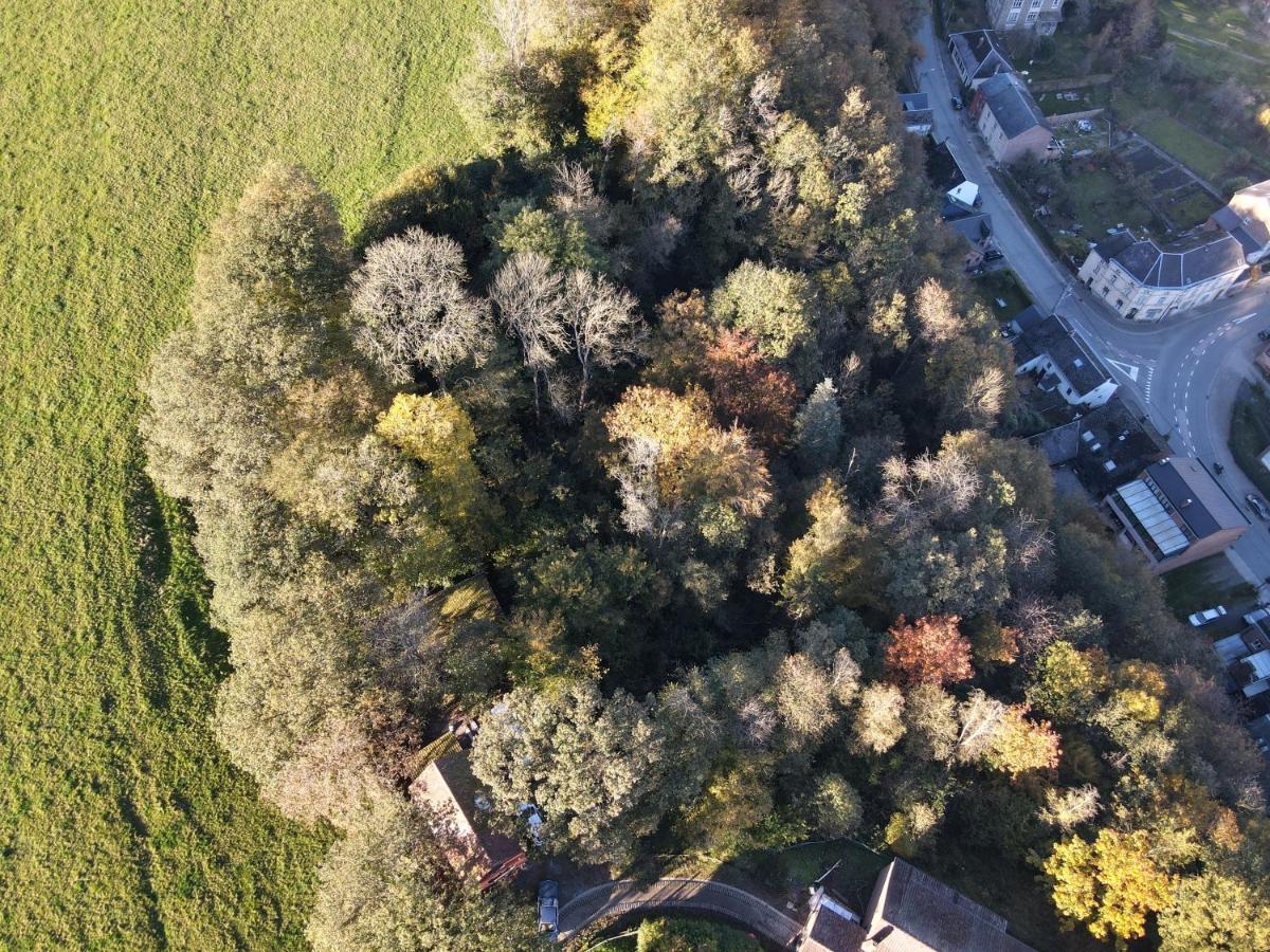 Gites Douillets A L'Oree Des Bois. Уйе Экстерьер фото
